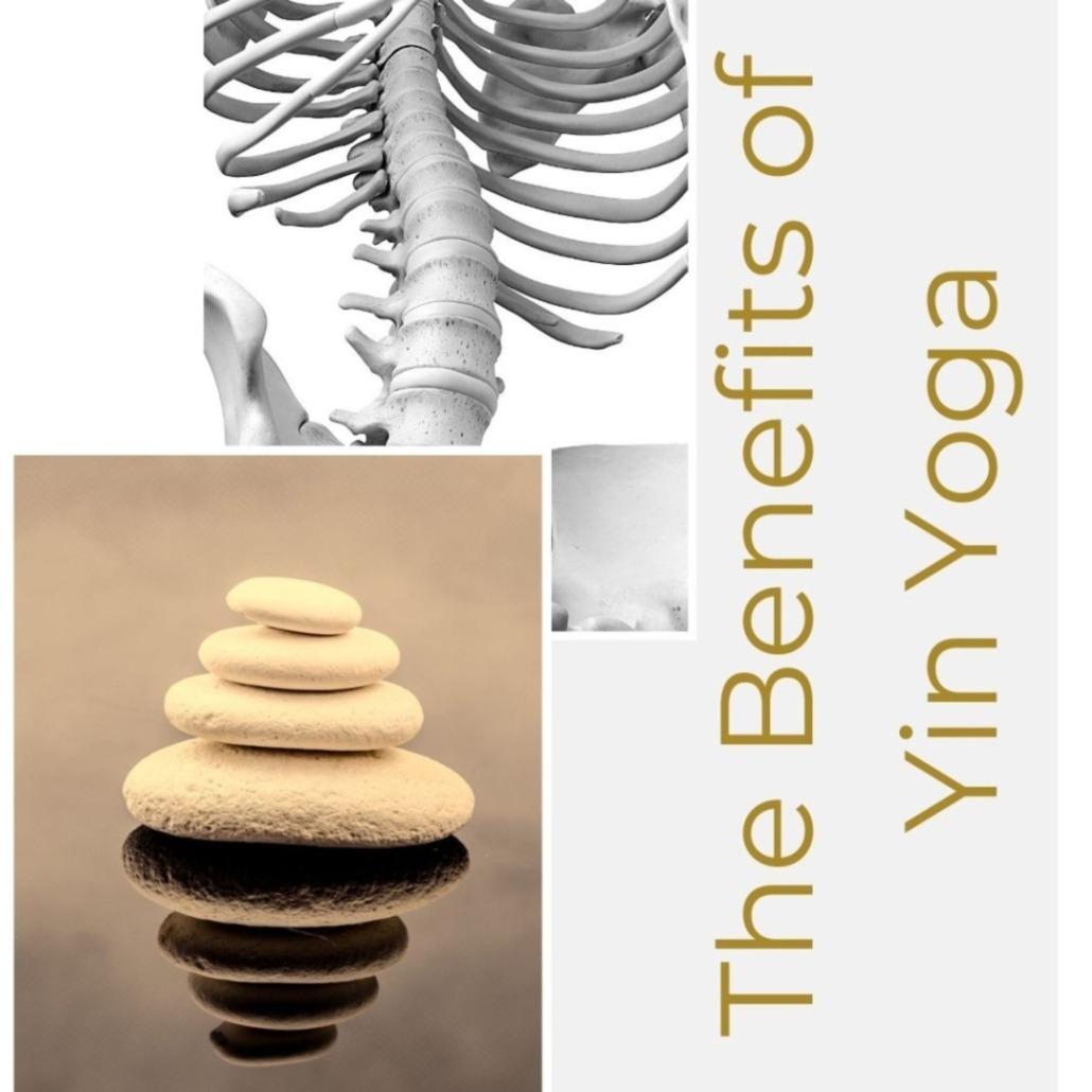 free yin yoga teacher training