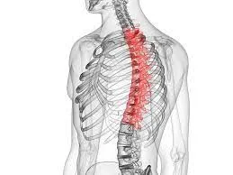 yin yoga and the spine