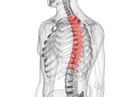 yin yoga and the spine