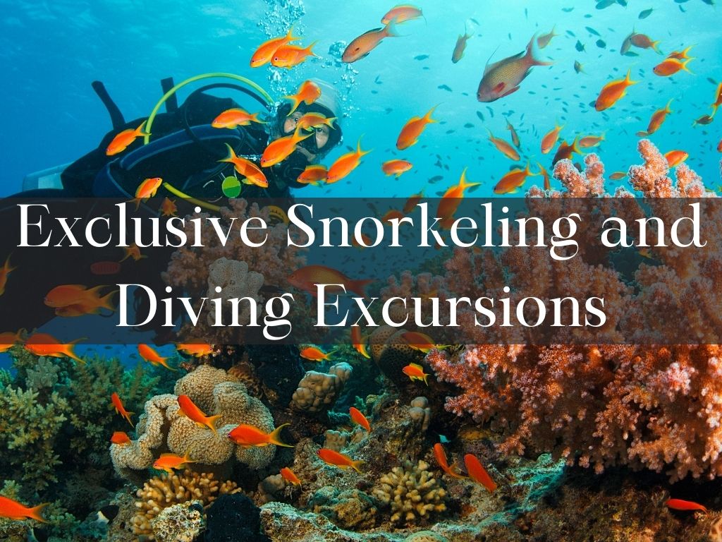 Exclusive Snorkeling and Diving Excursions