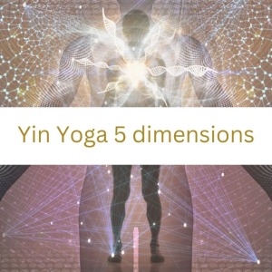 yin yoga guide - yin yoga 5 dimensions