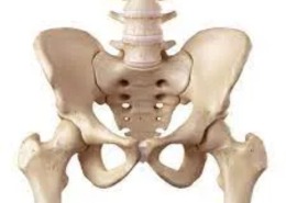 YIN YOGA FOR JOINT MOBILITY