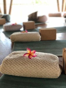 THE YOGA GARDEN NUSA LEMBONGAN A TRANQUIL ENVIRONMENT FOR YOUR 2026 YIN YOGA AND CHINESE MEDICINE TEACHER TRAINING