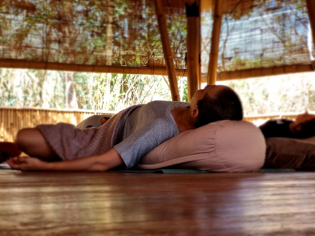 nervous system regulation during our yin yoga and chinese medicine teacher training. Dive deeper into our 2026 program.