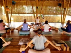 Students meditating and practicing mindful breathing during 100-hour Yin Yoga & TCM training 2026 at The Yoga Garden
