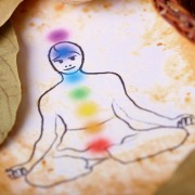 the chakras - yoga insights