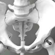 anatomy-and functional-movement-workshops-during-our-2026-200-hour-yoga-program-bali-nusa-lembongan-akira-yoga Anatomy and functional movement workshops in our 2026 200 hour yoga teacher training nusa lembongan bali