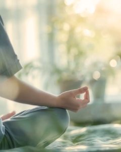 Understanding the Eight Limbs and meditation